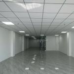 Cho thuê tòa nhà Nguyễn Huy Tưởng Bình Thạnh – 9x33m, 4 tầng